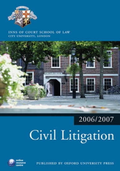 Picture of Civil Litigation 2006-2007