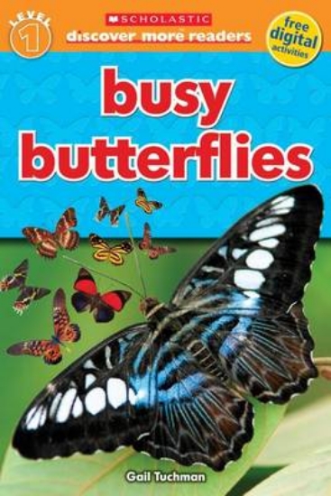 Picture of Busy Butterflies