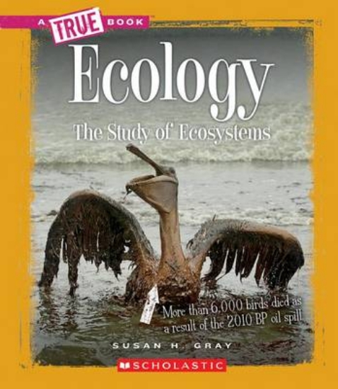 Picture of Ecology: The Study of Ecosystems