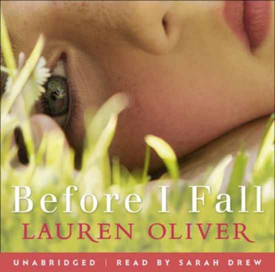 Picture of Before I Fall