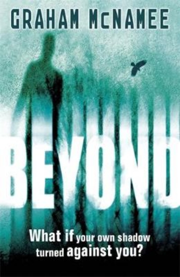 Picture of Beyond