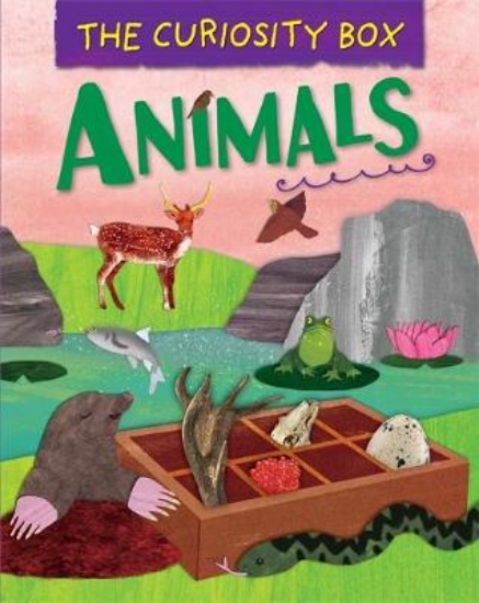 Picture of The Curiosity Box: Animals