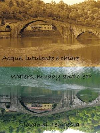 Picture of Acque, Lutulente E Chiare Waters, Muddy and Clear