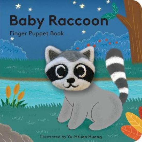 Picture of Baby Raccoon