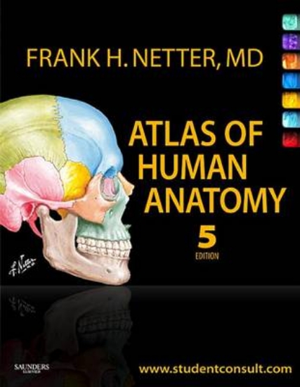 Picture of Atlas of Human Anatomy