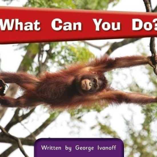 Picture of What Can You Do? 3A