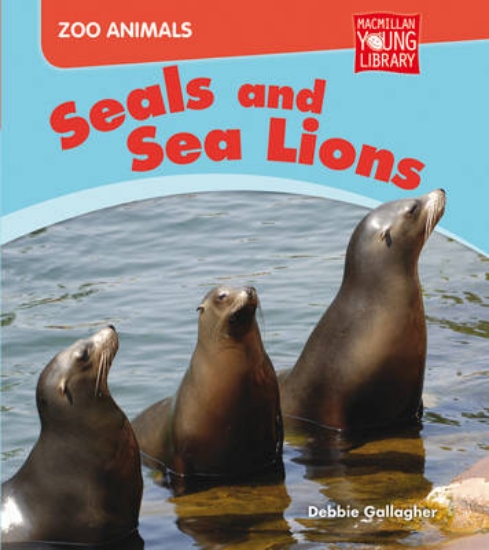 Picture of @ZA Seals and Sea Lions