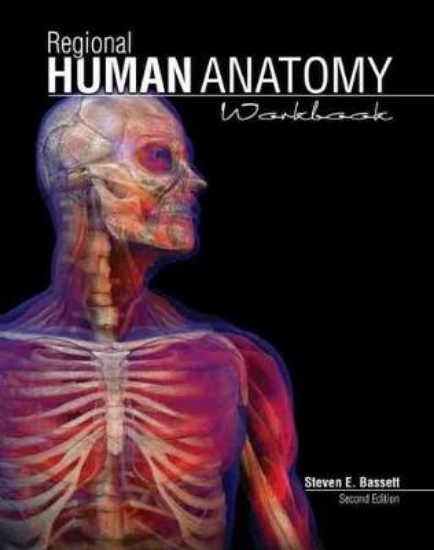 Picture of Regional Human Anatomy Workbook