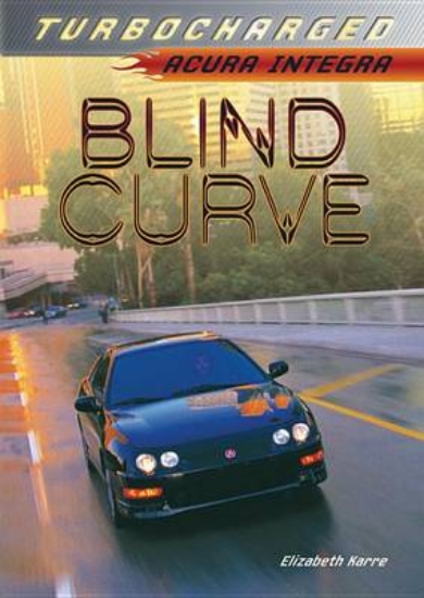 Picture of Blind Curve