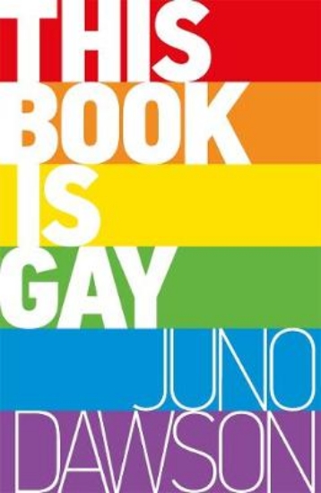 Picture of This Book Is Gay Pb