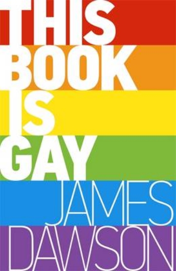 Picture of This Book is Gay