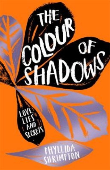 Picture of The Colour of Shadows