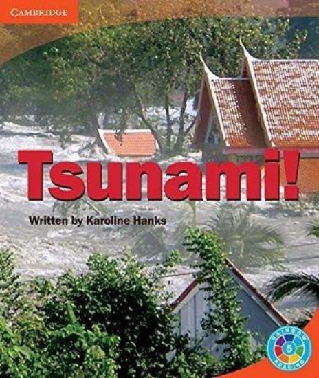 Picture of Tsunami!