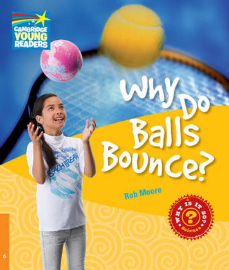 Picture of Why Do Balls Bounce? Level 6