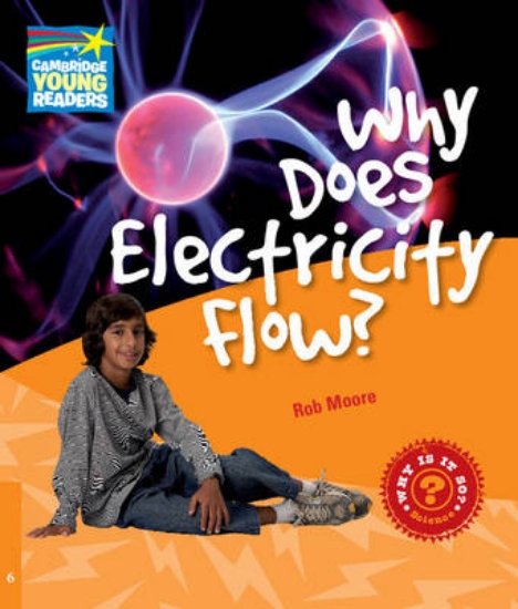 Picture of Why Does Electricity Flow? Level 6