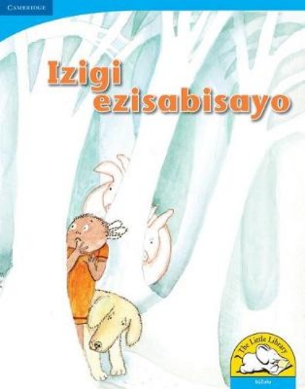 Picture of Izigi ezisabisayo (Big Book version)