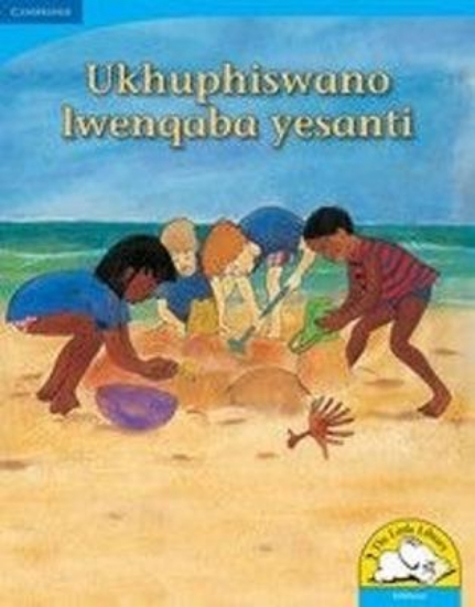 Picture of Ukhuphiswano lwenqaba yesanti (Big Book version)