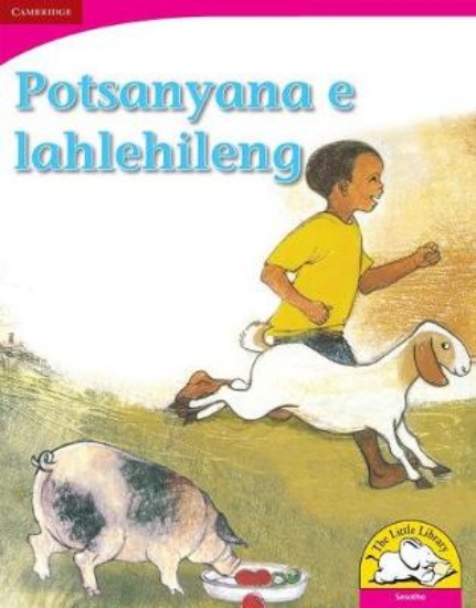 Picture of Potsanyana e lahlehileng (Big Book version)