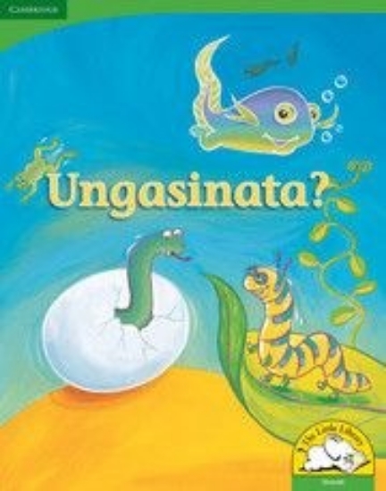 Picture of Ungasinata? (Big Book version)