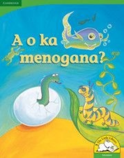 Picture of A o ka menogana? (Big Book version)