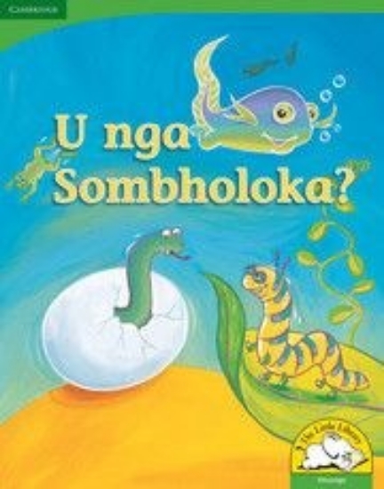 Picture of U nga sombholoka? (Big Book version)