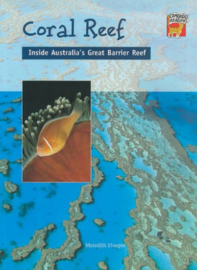 Picture of Coral Reef Big book