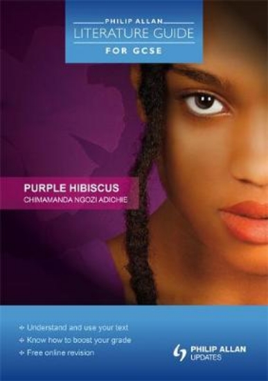 Picture of Purple Hibiscus
