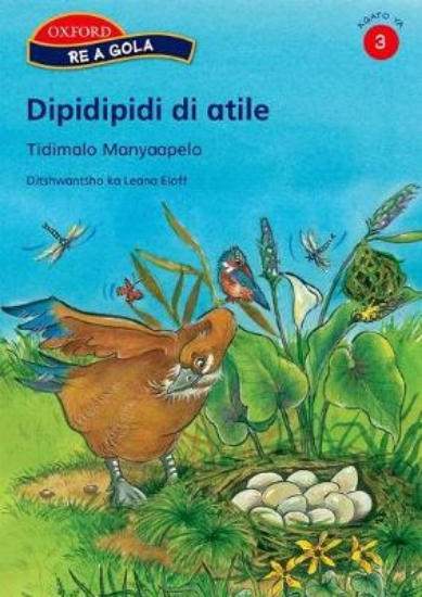 Picture of Dipidipidi di atile