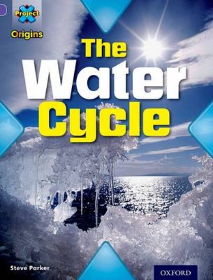 Picture of Water Level 8: The Water Cycle