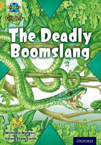 Picture of Communication Level 9: The Deadly Boomslang