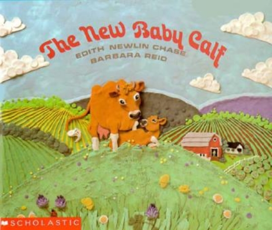 Picture of Guided Reading Programme