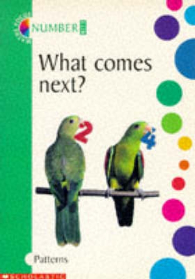 Picture of What Comes Next?