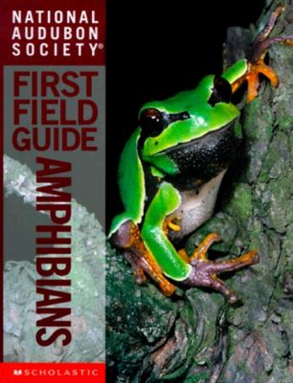 Picture of Audubon Guide: Amphibians (Pb)