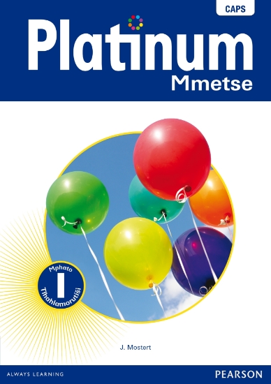 Picture of Platinum Mmetse Grade 1 Teacher'S Guide (Includes