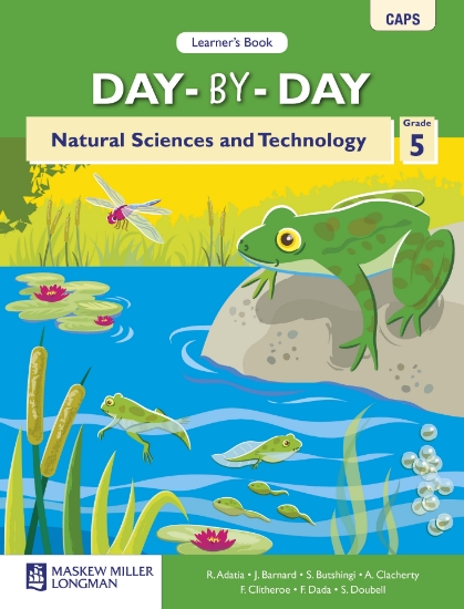 Picture of Day-By-Day Natural Sciences And Technology Grade 5