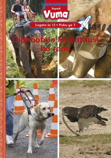 Picture of Vuma Lagato La 12 Puku Ya 7: Kgotlelelo E Tswala K