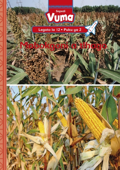 Picture of Vuma Lagato La 12 Puku Ye Kgolo 2: Setšo Sa Bapedi