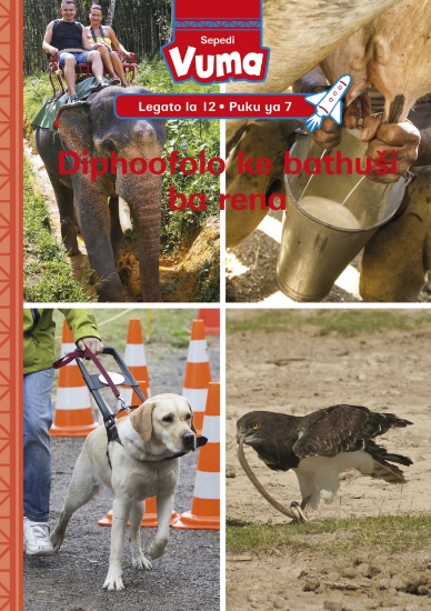 Picture of Vuma Lagato La 12 Puku Ye Kgolo 7: Kgotlelelo E Ts