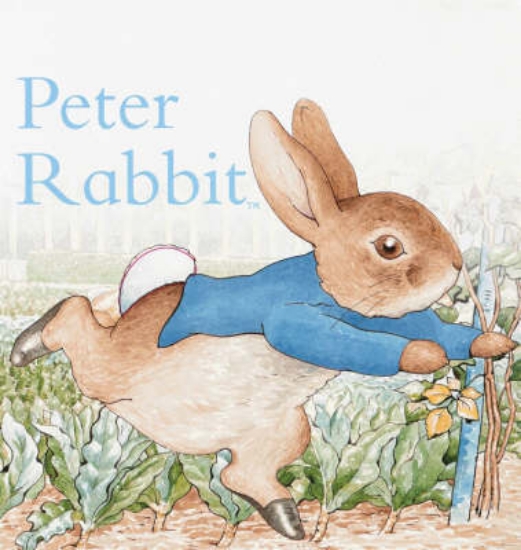 Picture of Beatrix Potter Board Book