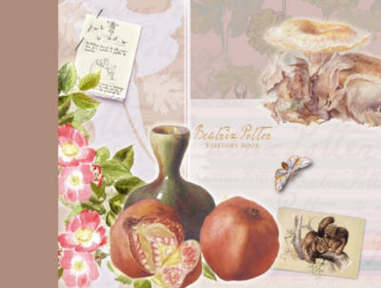 Picture of Beatrix Potter Visitors' Book