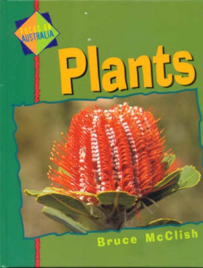 Picture of Focus on Australia: Plants