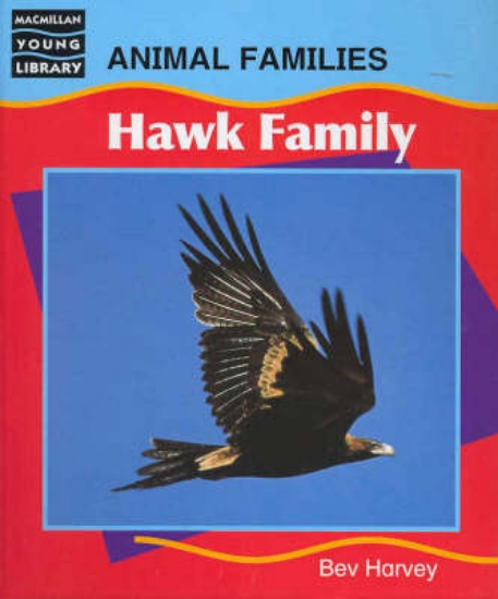 Picture of Hawk Family
