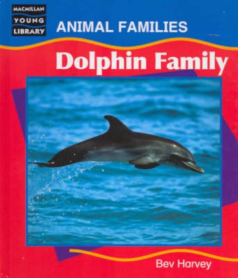 Picture of Dolphin Family