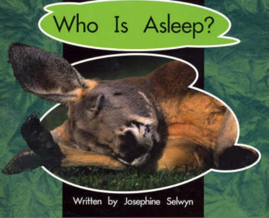 Picture of Who is Asleep?