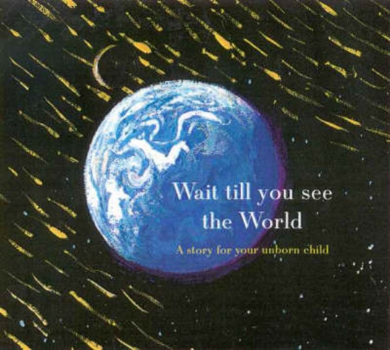 Picture of Wait till You See the World