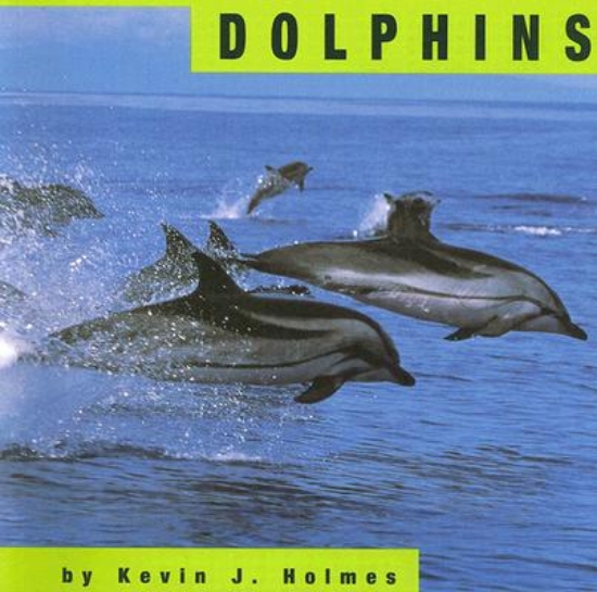 Picture of Dolphins