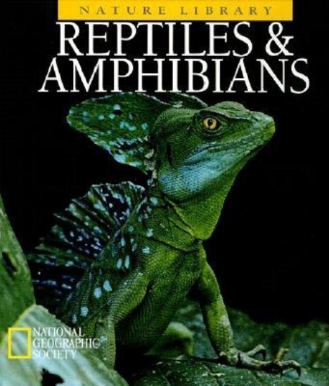 Picture of Reptiles and Amphibians