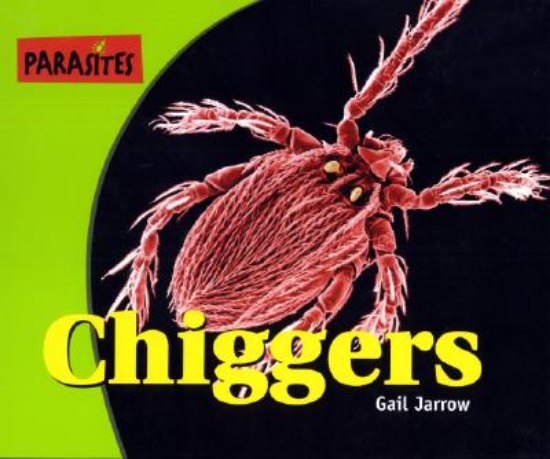 Picture of Chiggers