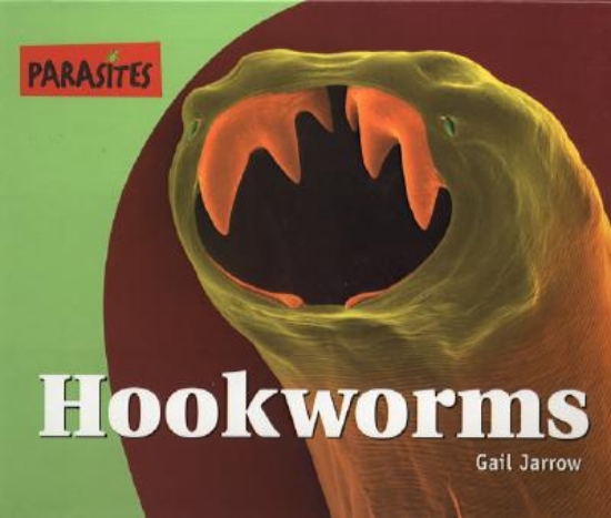 Picture of Hookworms
