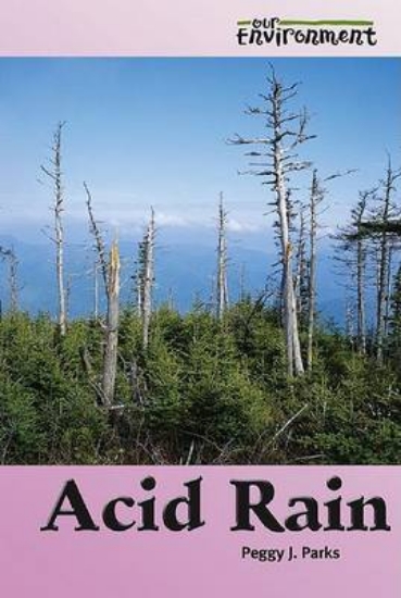 Picture of Acid Rain